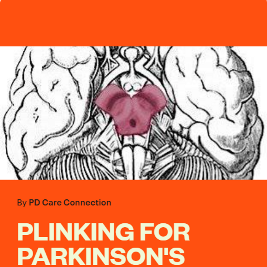 2nd Annual Plinking For Parkinson's - 2027
